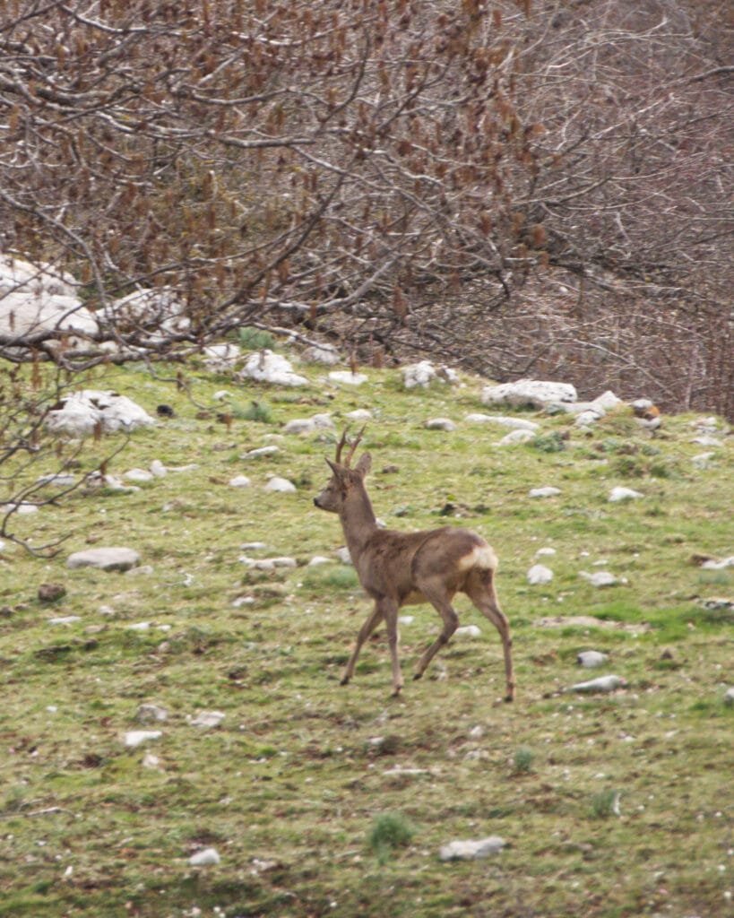 DSCN0114_000