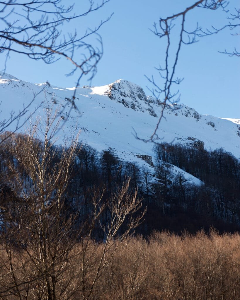 DSC_8796-2