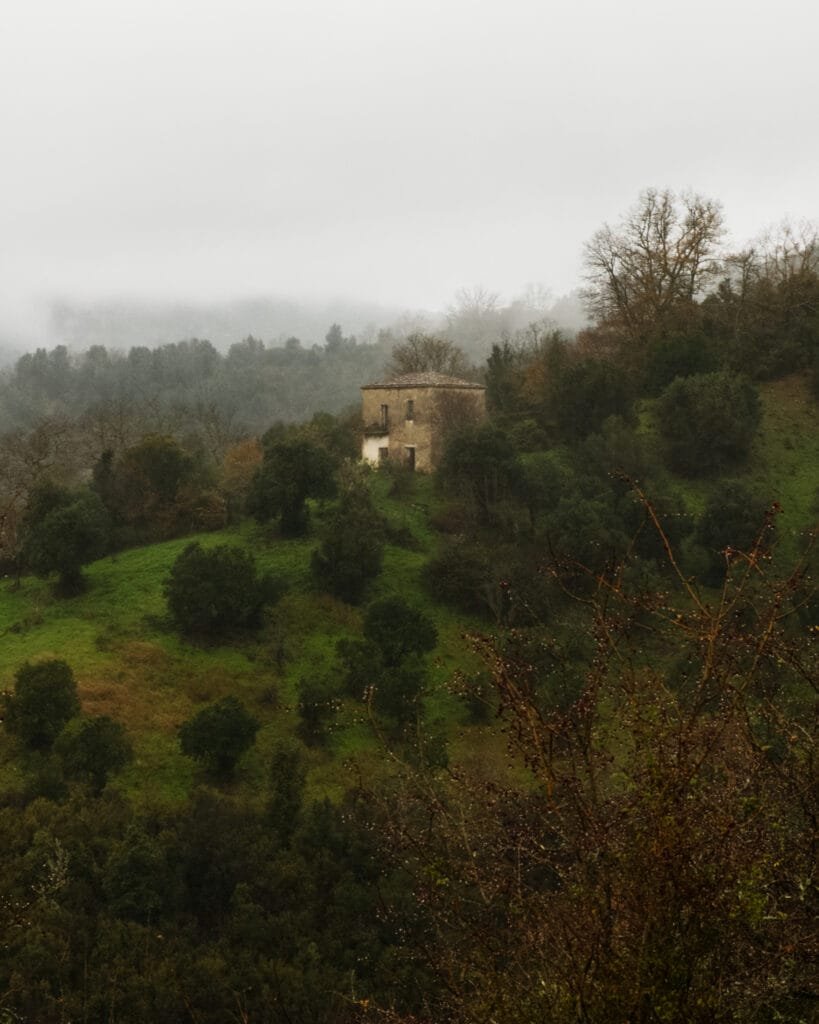 DSC_8822-2